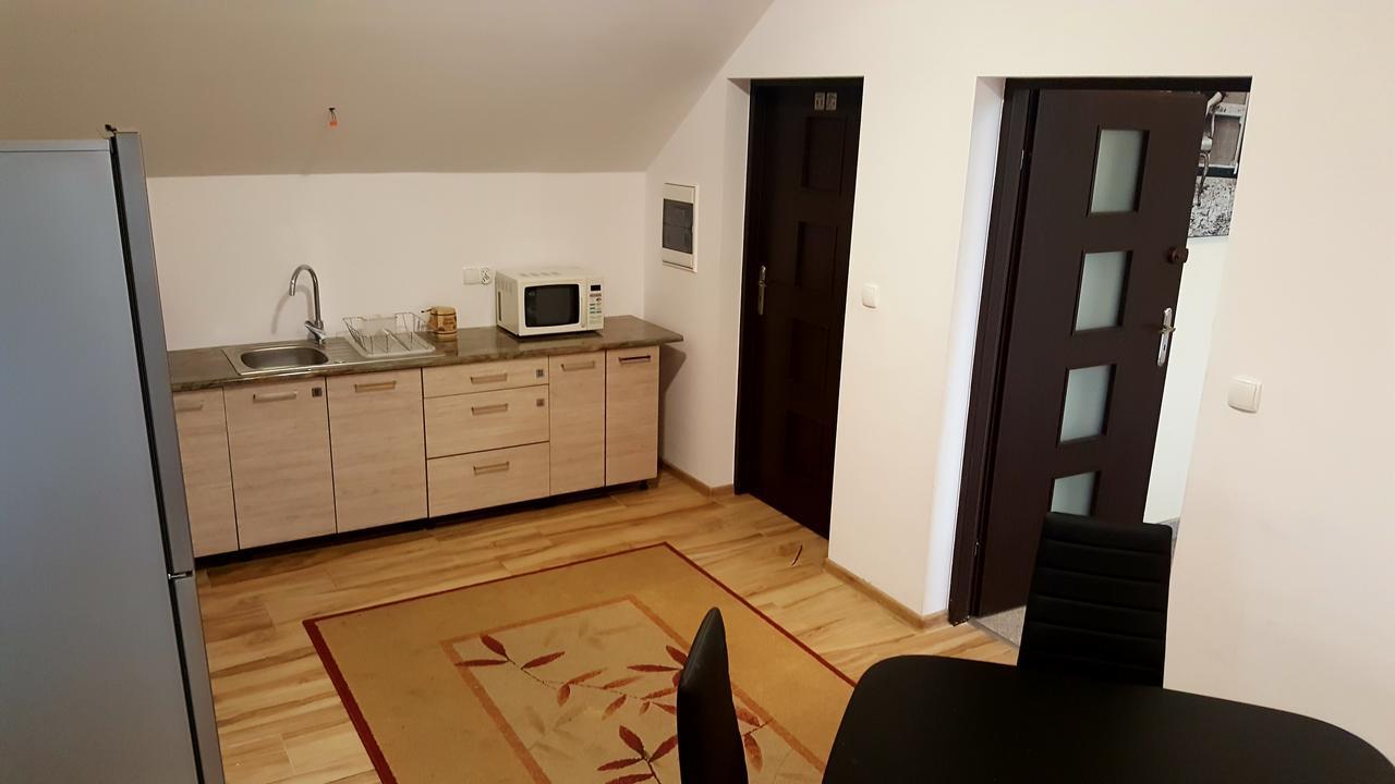 Apartamenty Daisy Goczałkowice-Zdrój Kültér fotó